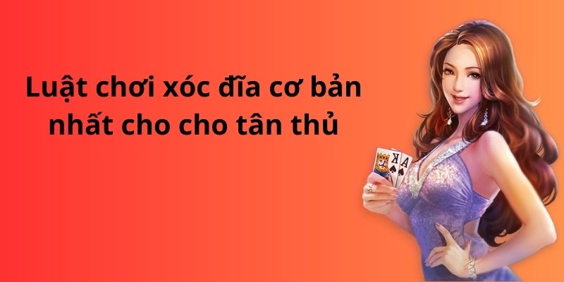 Luật chơi xóc đĩa cơ bản nhất cho cho tân thủ